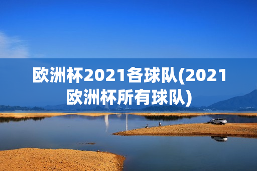 欧洲杯2021各球队(2021欧洲杯所有球队)