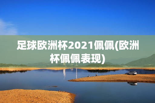 足球欧洲杯2021佩佩(欧洲杯佩佩表现)