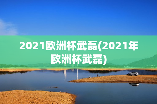 2021欧洲杯武磊(2021年欧洲杯武磊)