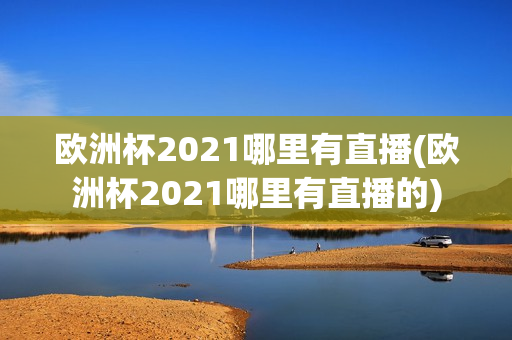 欧洲杯2021哪里有直播(欧洲杯2021哪里有直播的)