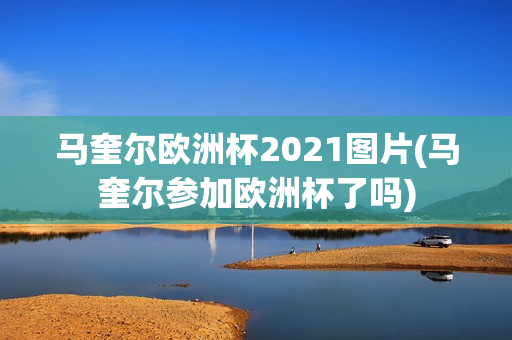 马奎尔欧洲杯2021图片(马奎尔参加欧洲杯了吗)