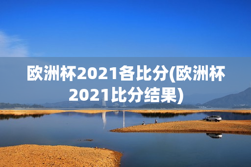 欧洲杯2021各比分(欧洲杯2021比分结果)