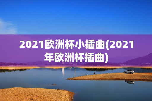 2021欧洲杯小插曲(2021年欧洲杯插曲)