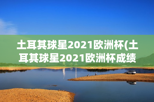 土耳其球星2021欧洲杯(土耳其球星2021欧洲杯成绩)