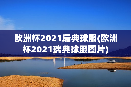 欧洲杯2021瑞典球服(欧洲杯2021瑞典球服图片)