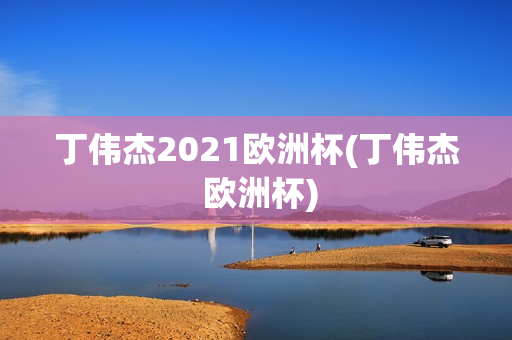 丁伟杰2021欧洲杯(丁伟杰 欧洲杯)