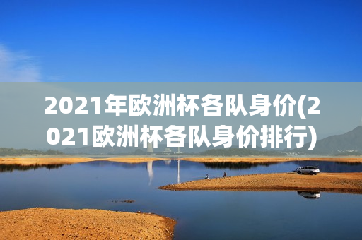 2021年欧洲杯各队身价(2021欧洲杯各队身价排行)