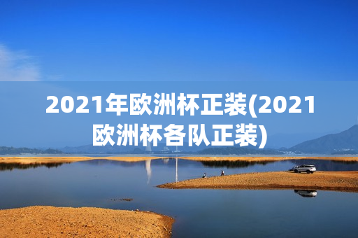 2021年欧洲杯正装(2021欧洲杯各队正装)