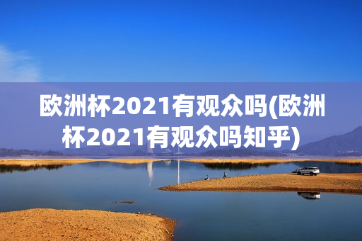 欧洲杯2021有观众吗(欧洲杯2021有观众吗知乎)