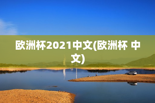 欧洲杯2021中文(欧洲杯 中文)