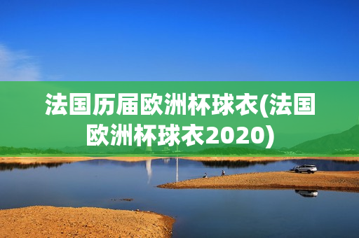 法国历届欧洲杯球衣(法国欧洲杯球衣2020)