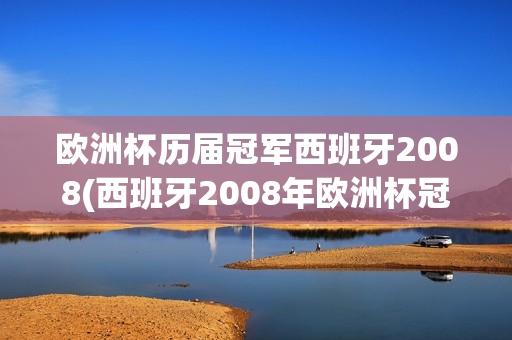 欧洲杯历届冠军西班牙2008(西班牙2008年欧洲杯冠军)