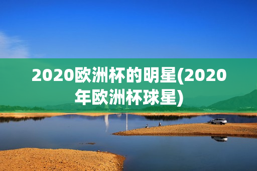 2020欧洲杯的明星(2020年欧洲杯球星)