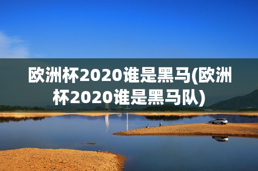 欧洲杯2020谁是黑马(欧洲杯2020谁是黑马队)