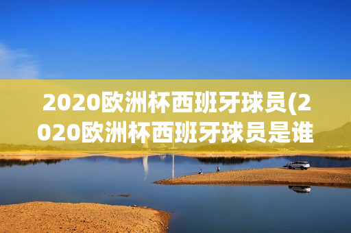 2020欧洲杯西班牙球员(2020欧洲杯西班牙球员是谁)