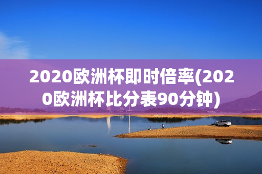 2020欧洲杯即时倍率(2020欧洲杯比分表90分钟)