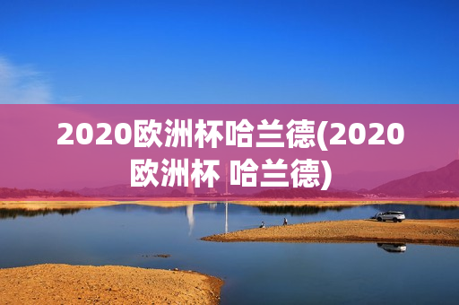 2020欧洲杯哈兰德(2020欧洲杯 哈兰德)