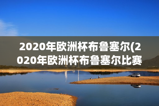 2020年欧洲杯布鲁塞尔(2020年欧洲杯布鲁塞尔比赛结果)