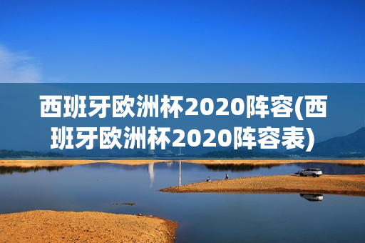 西班牙欧洲杯2020阵容(西班牙欧洲杯2020阵容表)