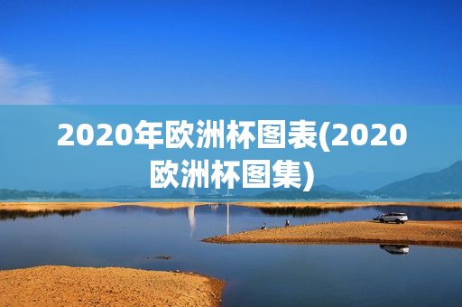 2020年欧洲杯图表(2020欧洲杯图集)