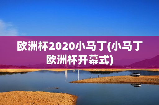 欧洲杯2020小马丁(小马丁欧洲杯开幕式)