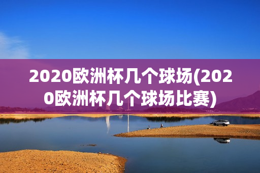 2020欧洲杯几个球场(2020欧洲杯几个球场比赛)