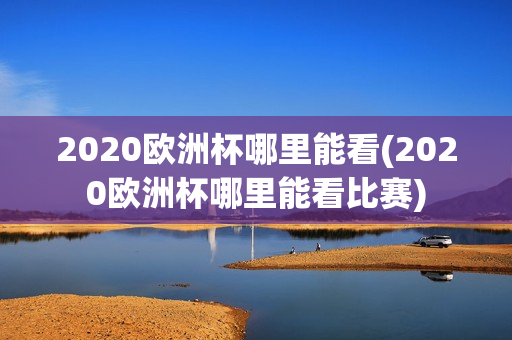 2020欧洲杯哪里能看(2020欧洲杯哪里能看比赛)