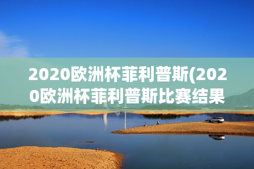 2020欧洲杯菲利普斯(2020欧洲杯菲利普斯比赛结果)