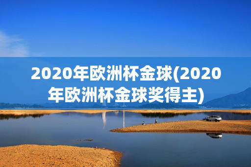 2020年欧洲杯金球(2020年欧洲杯金球奖得主)