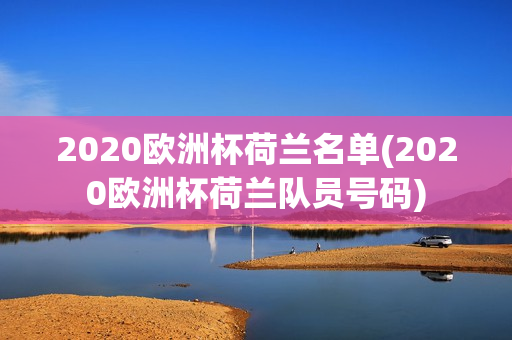 2020欧洲杯荷兰名单(2020欧洲杯荷兰队员号码)