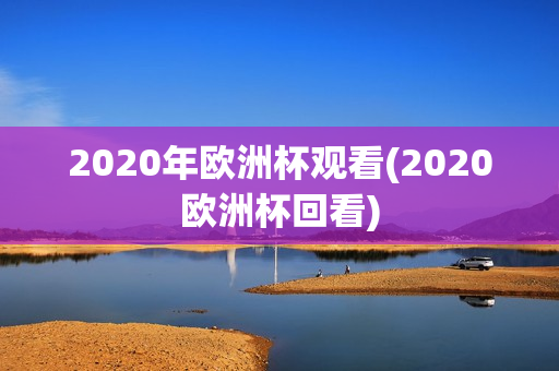 2020年欧洲杯观看(2020欧洲杯回看)