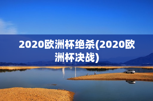 2020欧洲杯绝杀(2020欧洲杯决战)