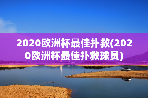 2020欧洲杯最佳扑救(2020欧洲杯最佳扑救球员)