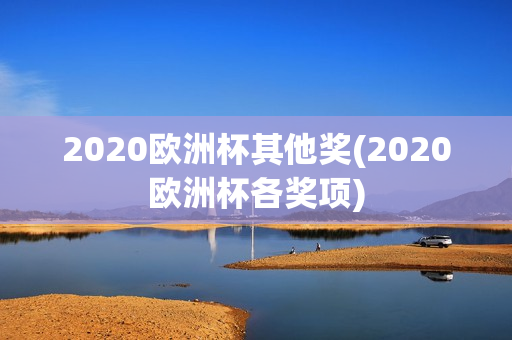 2020欧洲杯其他奖(2020欧洲杯各奖项)