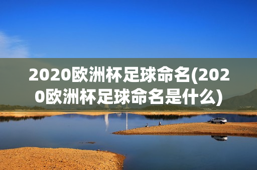 2020欧洲杯足球命名(2020欧洲杯足球命名是什么)