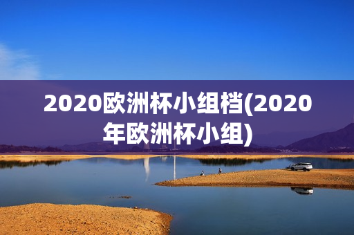 2020欧洲杯小组档(2020年欧洲杯小组)