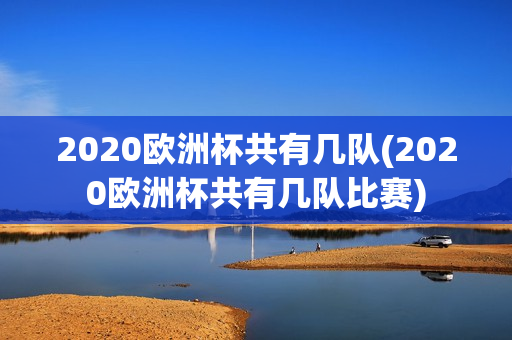 2020欧洲杯共有几队(2020欧洲杯共有几队比赛)