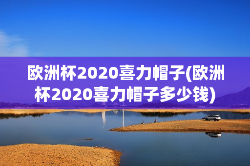 欧洲杯2020喜力帽子(欧洲杯2020喜力帽子多少钱)