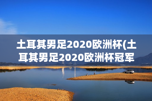 土耳其男足2020欧洲杯(土耳其男足2020欧洲杯冠军是谁)