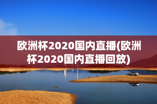 欧洲杯2020国内直播(欧洲杯2020国内直播回放)