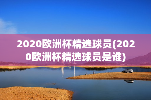 2020欧洲杯精选球员(2020欧洲杯精选球员是谁)