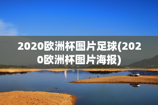 2020欧洲杯图片足球(2020欧洲杯图片海报)