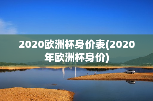 2020欧洲杯身价表(2020年欧洲杯身价)