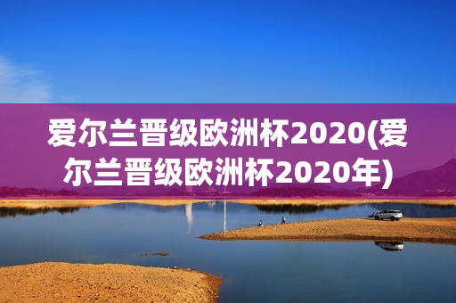 爱尔兰晋级欧洲杯2020(爱尔兰晋级欧洲杯2020年)