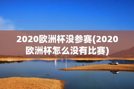 2020欧洲杯没参赛(2020欧洲杯怎么没有比赛)