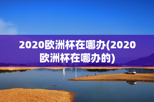 2020欧洲杯在哪办(2020欧洲杯在哪办的)