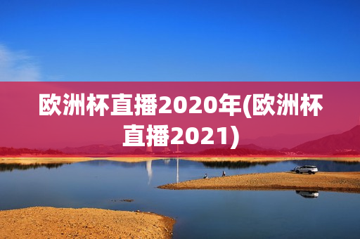 欧洲杯直播2020年(欧洲杯直播2021)