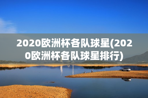 2020欧洲杯各队球星(2020欧洲杯各队球星排行)