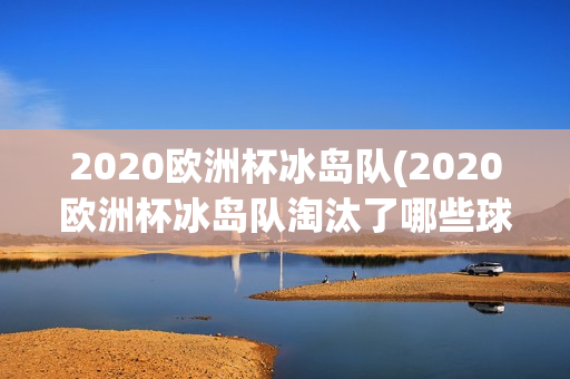 2020欧洲杯冰岛队(2020欧洲杯冰岛队淘汰了哪些球队)