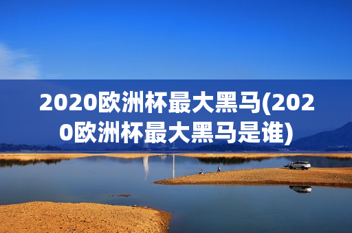 2020欧洲杯最大黑马(2020欧洲杯最大黑马是谁)